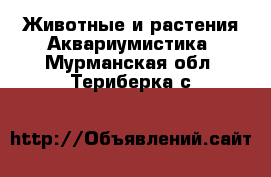 Животные и растения Аквариумистика. Мурманская обл.,Териберка с.